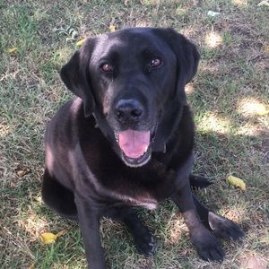 Meet your Posher, Cori